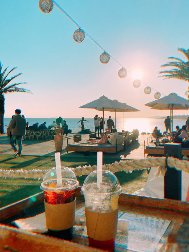 가성비 끝판왕 여행지🚘🌴