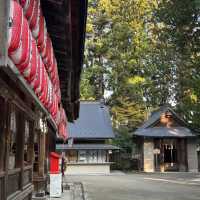 小石川大神宮🪷靜謐之境