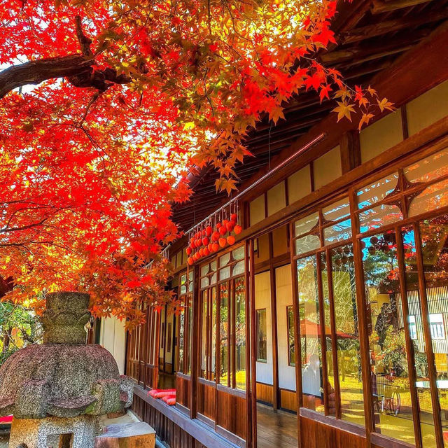 Furouen garden park of eternal life japan 