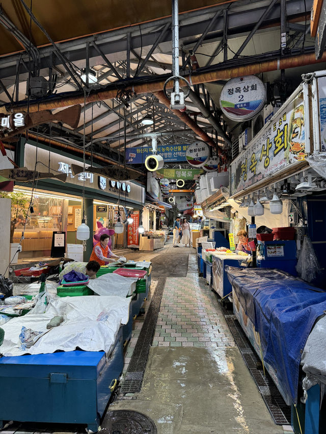 【韓国旅行】済州島／活気溢れる東門在来市場で食べ歩き