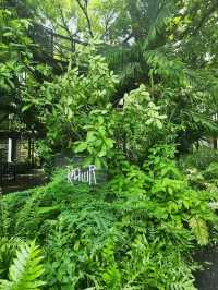 【バンコク】緑の中でリラックス🌳RAWR Cafe