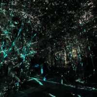 大阪景點|走進夜間奇幻世界—大阪長居植物園teamLab