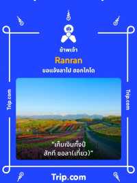 คาเฟ่สีหวาน SOURI เปิดใหม่ที่ฟิวเจอร์พาร์ค