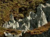 Flaring Rock Forest [Moshi Park in Autumn]
