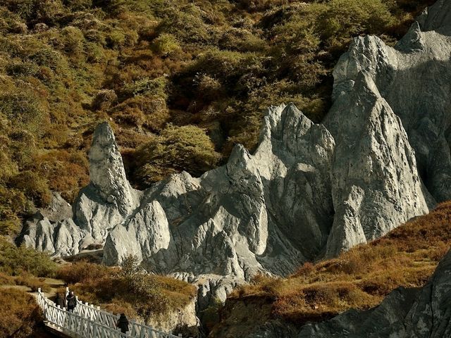 Flaring Rock Forest [Moshi Park in Autumn]