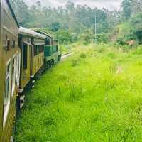 斯里蘭卡🇱🇰茶園火車