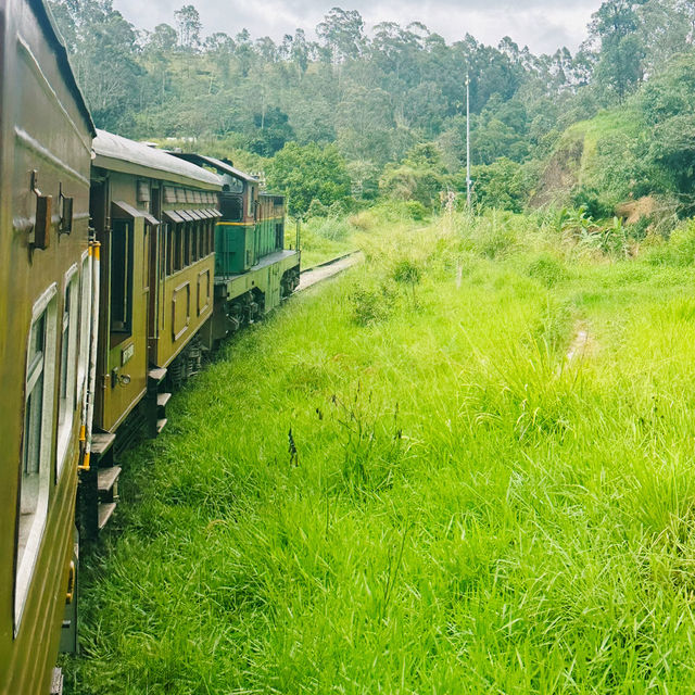 斯里蘭卡🇱🇰茶園火車