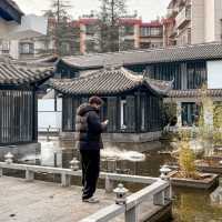 Kunming Stay