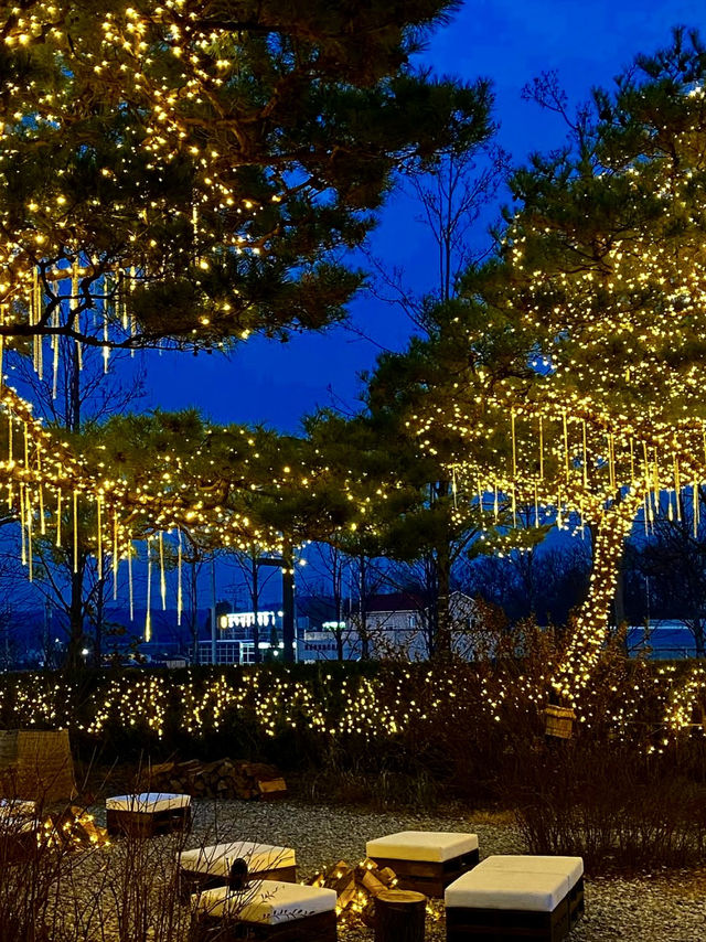 겨울에도 야외소풍가기 좋은 🩵서울 근교 야외데이트 명소 ☃️