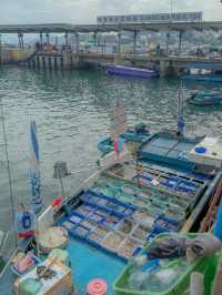 🇭🇰요즘 홍콩에서 떠오르는 여행지, 사이쿵Sai Kung🇭🇰