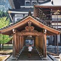 【福井】圧倒的スケール🏯越前大仏