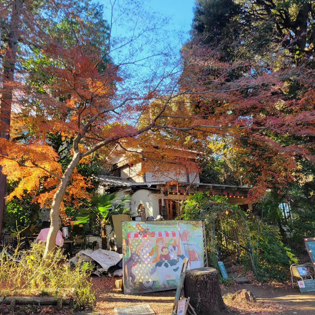 Enjoying Nature at Inokashira Park