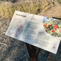 Exploring the Australian Arid Lands Botanic Garden: A Unique Desert Oasis