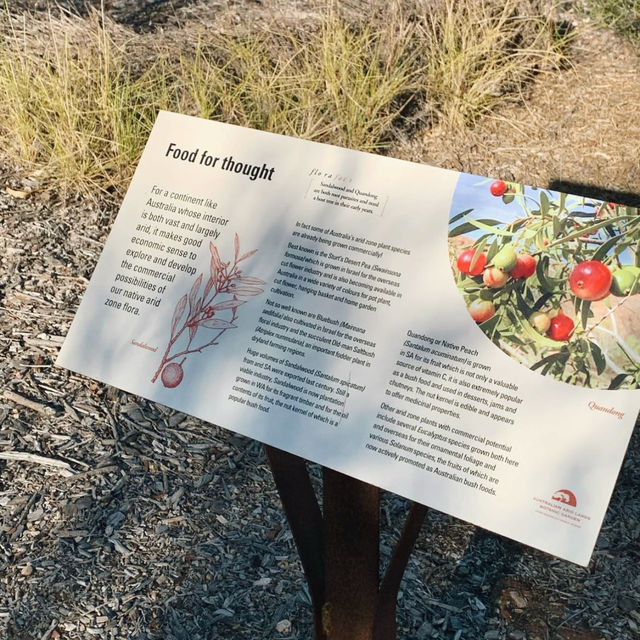 Exploring the Australian Arid Lands Botanic Garden: A Unique Desert Oasis