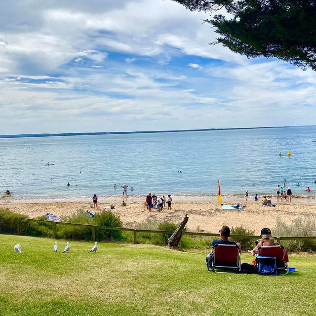 Phillip Island, located just off the coast 