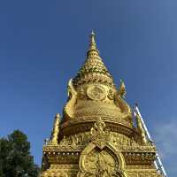 รีวิววัดป่ายาง – วัดเก่าแก่ท่ามกลางธรรมชาติ 🌳🙏