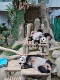 A day trip to Zoo Negara Malaysia