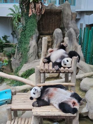 A day trip to Zoo Negara Malaysia
