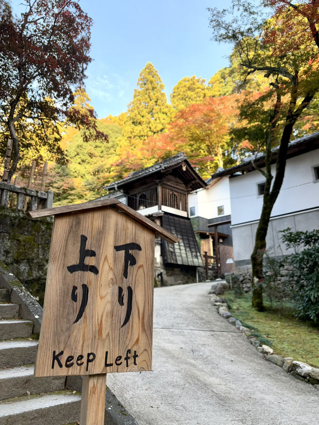 名古屋香積寺-鳥居、寺廟、紅葉與藍天，構成絕美畫面