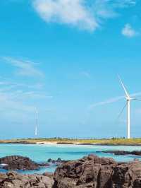 "A Coastal Treasure: Nature, Wind Turbines, and Nearby Gems"