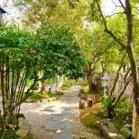 MOMIJI SPECIALTY COFFEE