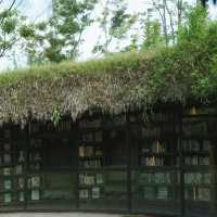 【千葉】地中にある神秘的な図書館
