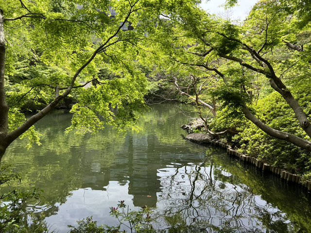 Lunch at Happo-en: A Perfect Day Out🌿