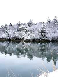 【宮城×冬の旅】陸から海に突き出た天然の桟橋