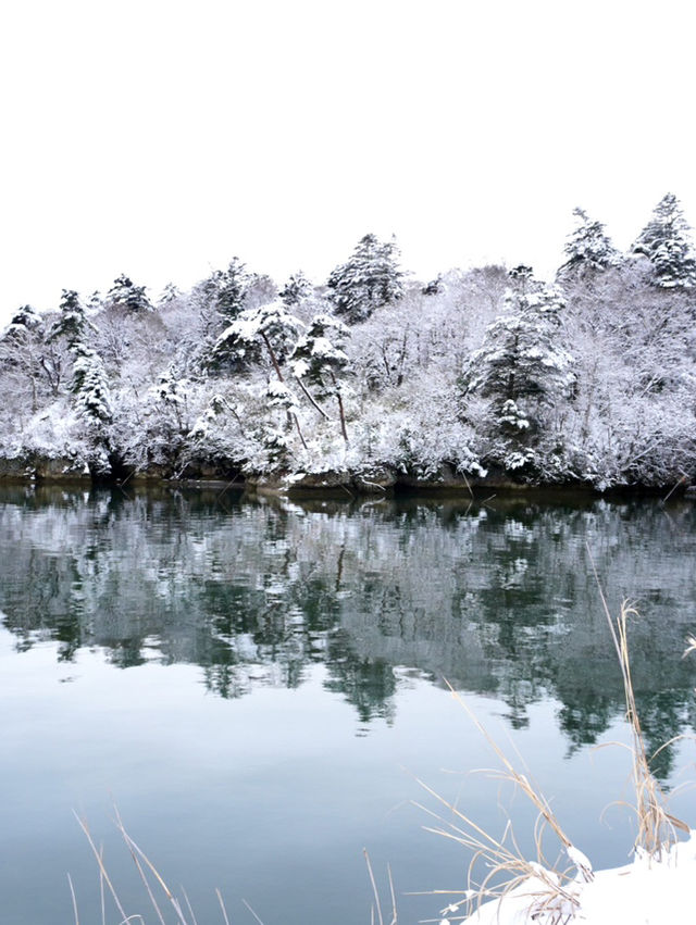 【宮城×冬の旅】陸から海に突き出た天然の桟橋