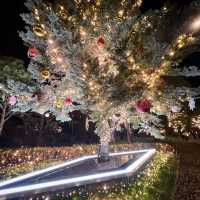 A Magical Holiday Experience: Christmas Illuminations in Tokyo