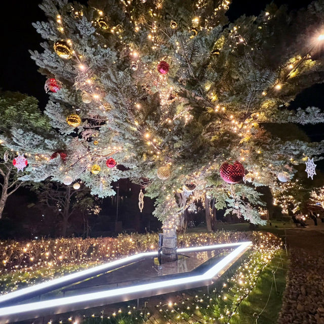 A Magical Holiday Experience: Christmas Illuminations in Tokyo