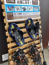 【新潟×初春の旅】  白銀のブナ林  スノーシューで散策