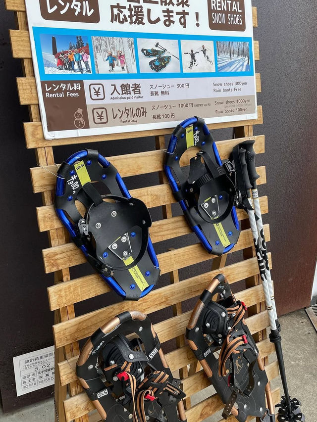 【新潟×初春の旅】  白銀のブナ林  スノーシューで散策