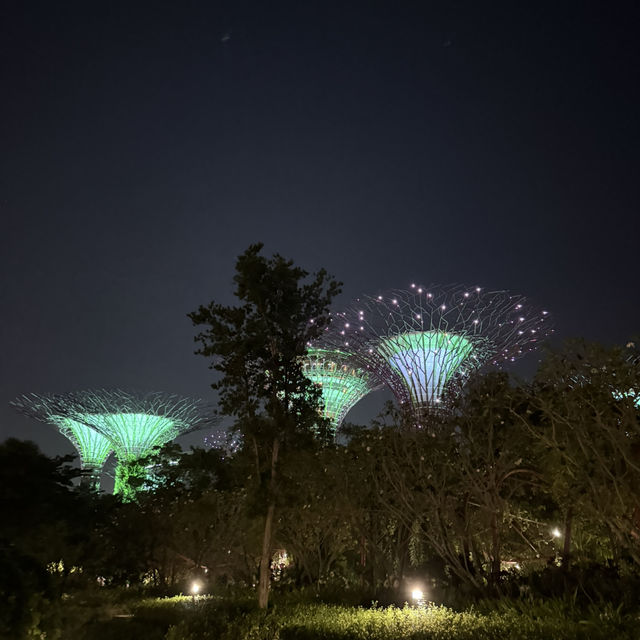 「新加坡」濱海灣花園，綠色休閒好去處