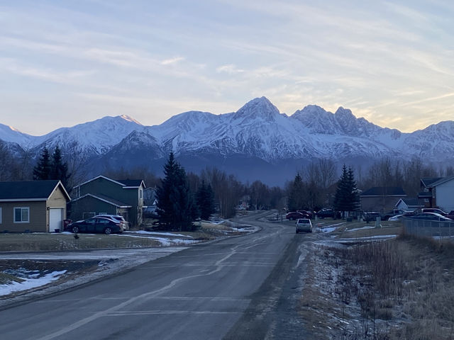🎄 Christmas in Denali: A Winter Wonderland! ❄️