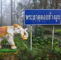 พระธาตุดอยช้างมูบ เชียงราย 🐘🏔