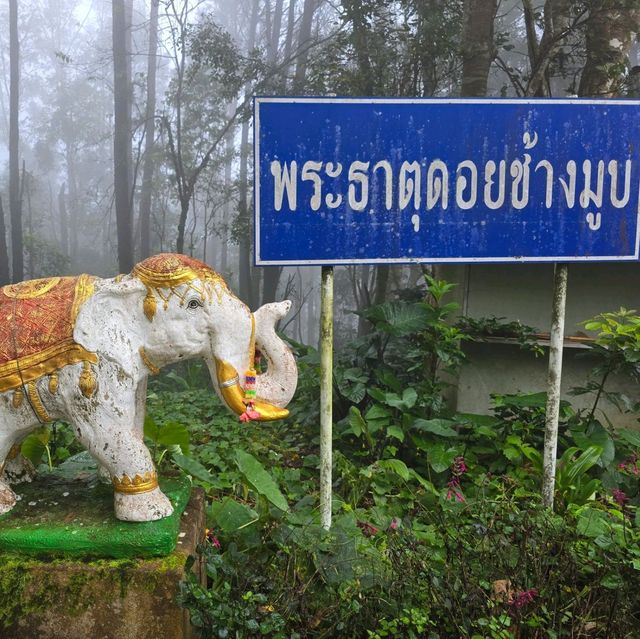 พระธาตุดอยช้างมูบ เชียงราย 🐘🏔