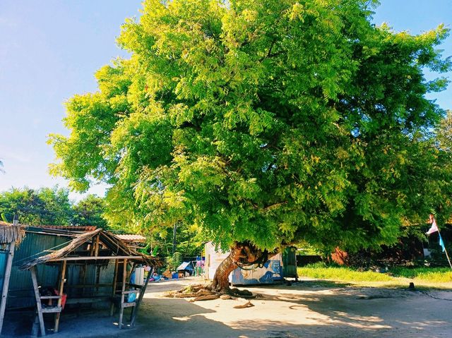 泰國麗貝島特色景點:海島🏝️藝術壁畫村