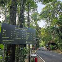 ตรอกนอง น้ำตกสวยแห่งเมืองจันทบุรี