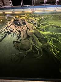 【ここは深海か？】魚津埋没林博物館
