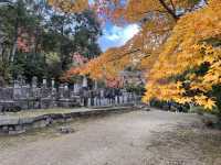 A Symphony of Colors —  The Nison-in Temple of Arashiyama