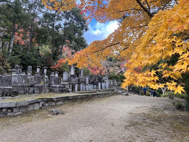 A Symphony of Colors —  The Nison-in Temple of Arashiyama
