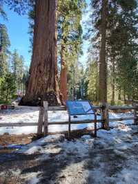 Kings Canyon is more than just a scenic destination