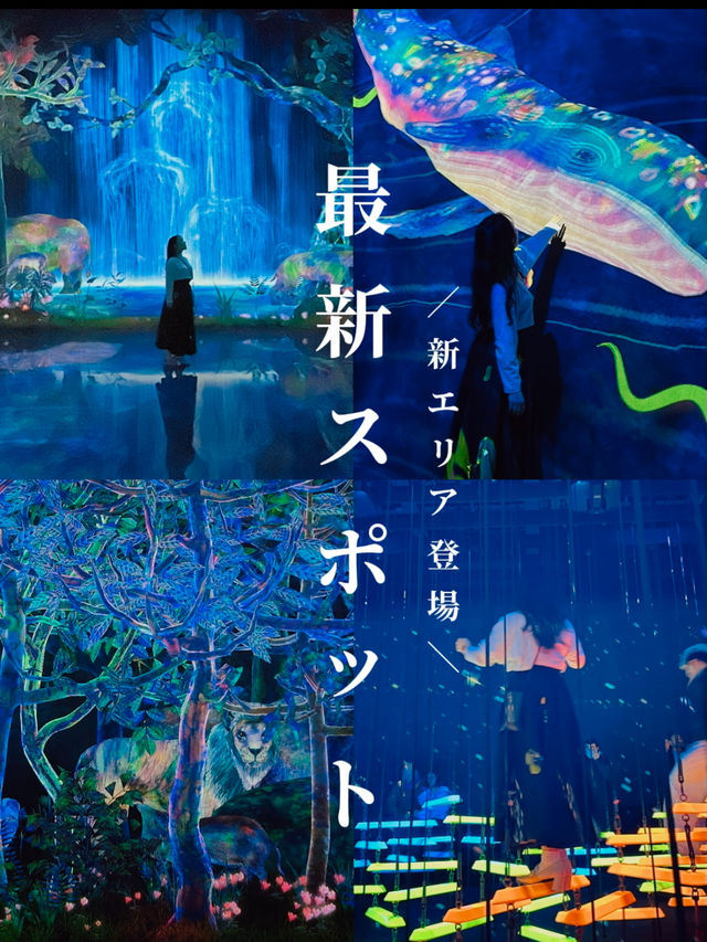 【新スポット速報‼️】チームラボプラネッツがエリア拡大して再登場🌏✨さらに映えて楽しくなりました👏