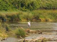 A Full-Day Safari in Yala National Park