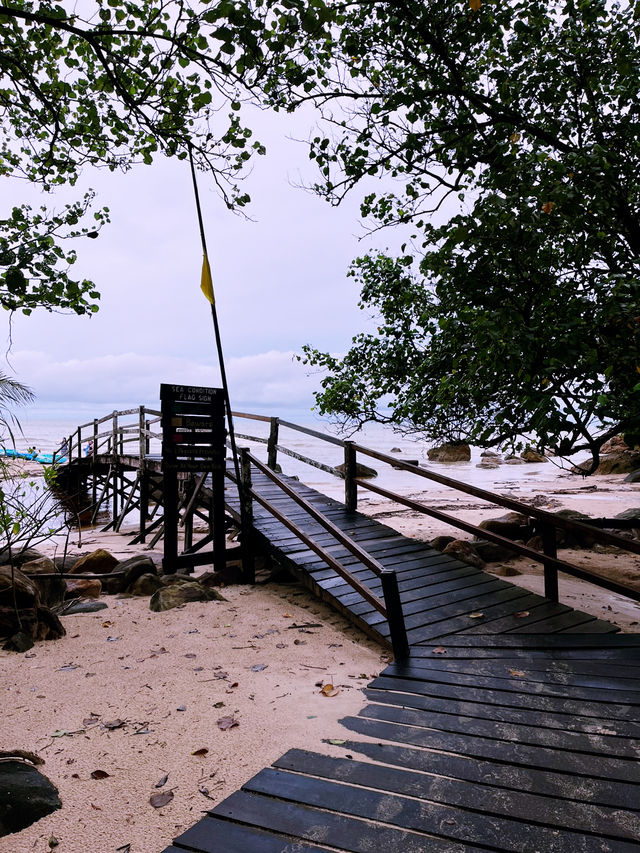 The Feeding Tree - Must Visit Forest Cafe in Damai