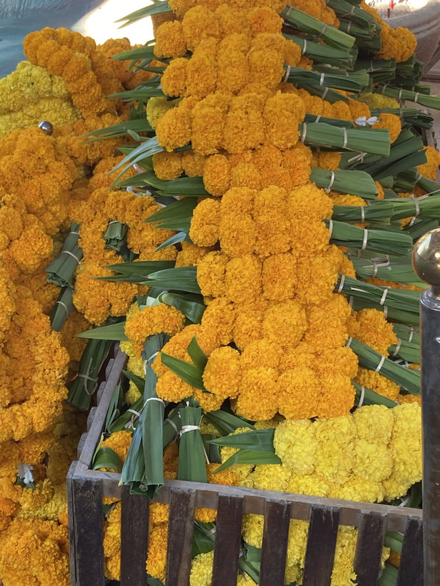 ทำบุญจึ้งใจ -วัดป่าปากโดม-