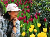 Miracle of Natural สวนดอกไม้เมืองหนาว ระยอง