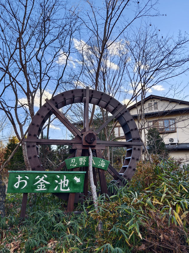 池水極清澈乾淨的忍野八海