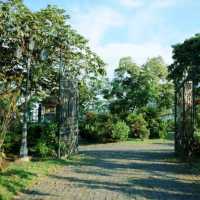 【巴馬國家公園日觀】